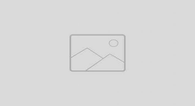 وبینار انتقال تجربه و مسیر مهندسی  داده