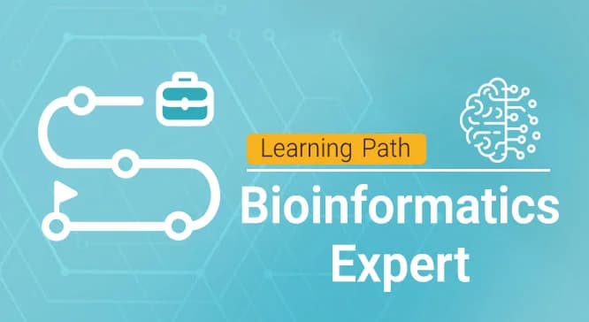 تصویر مسیر کارشناس پردازش دادههای پزشکی